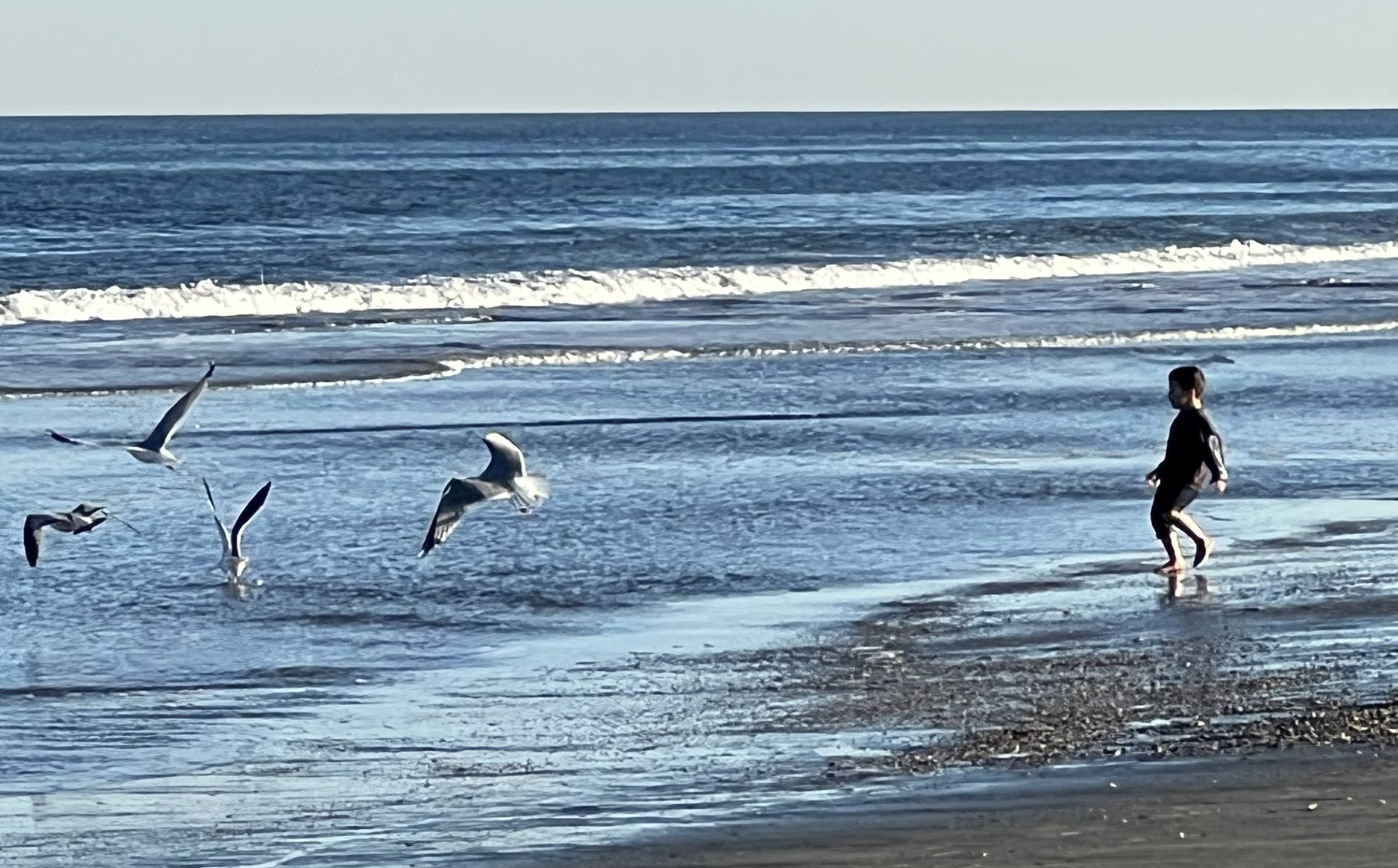 The Beach